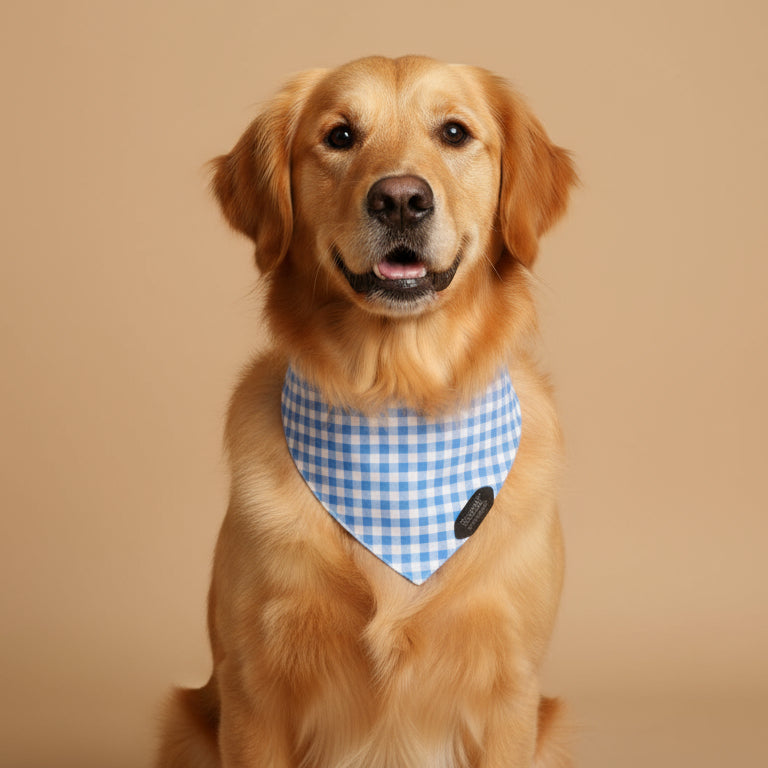 The Blue Gingham Bandana