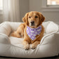 The Dreamy Bandana