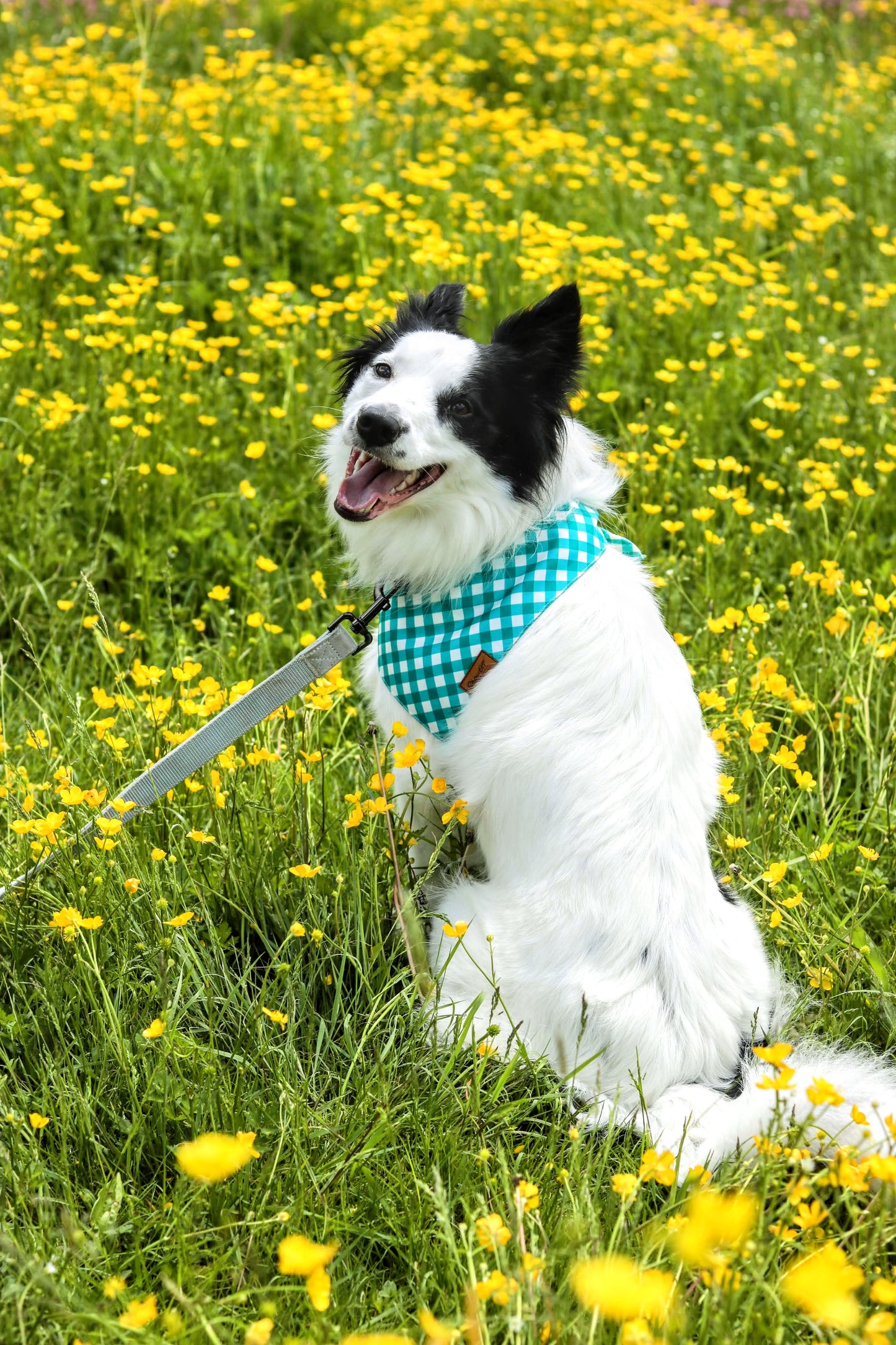 The Green Gingham Bandana