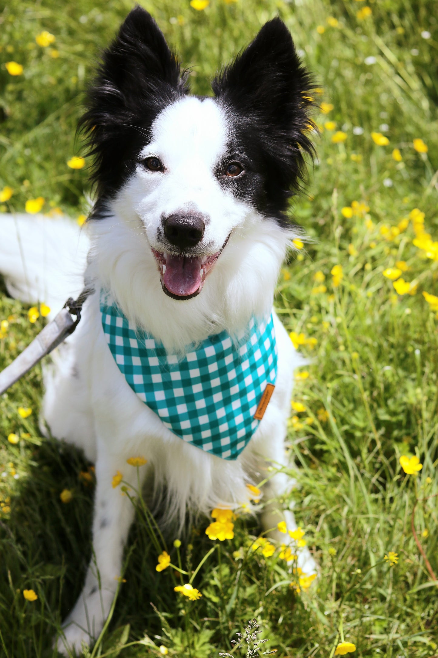 The Green Gingham Bandana