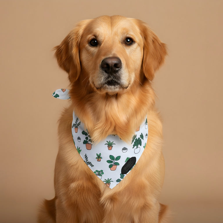 The Aloe Bandana