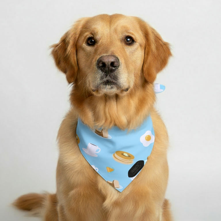 The Breakfast Blend Bandana
