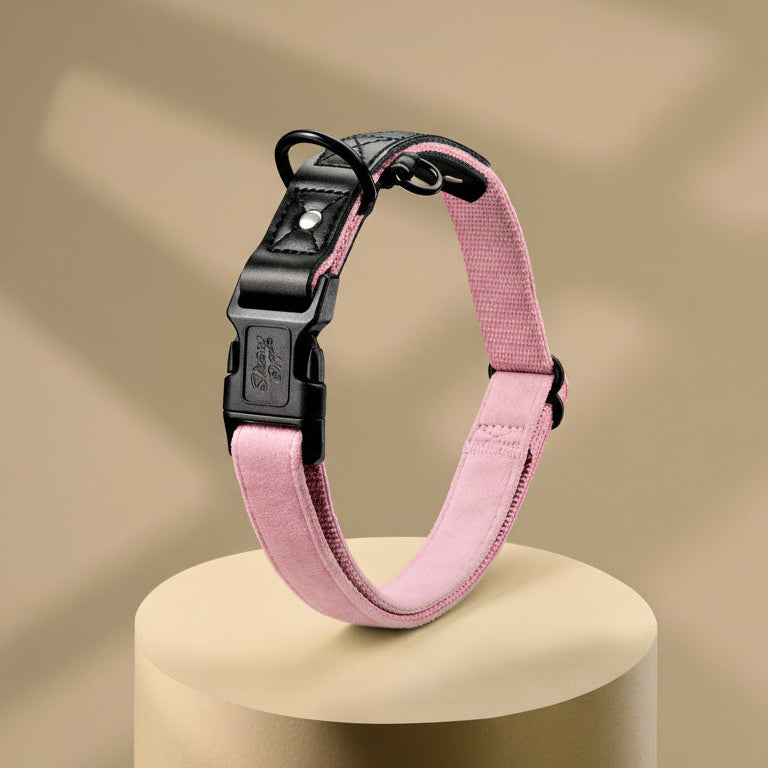 Pink Suede Dog Collar with Black Leather