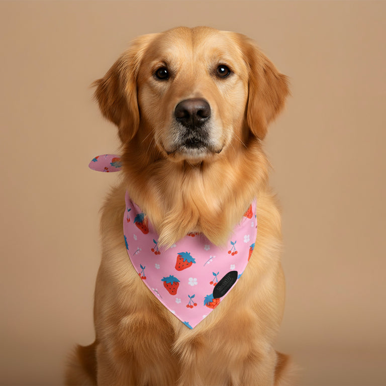Strawberry Bandana