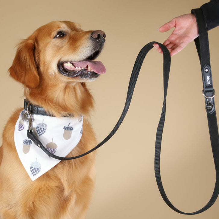 The Central Park Bandana