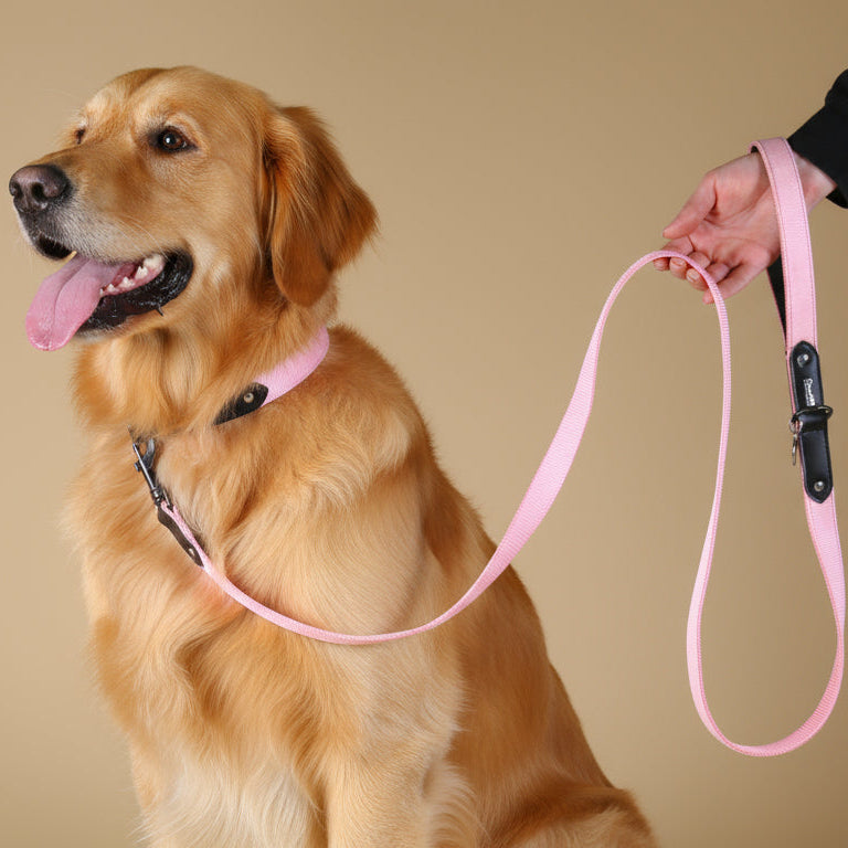 Light Pink Suede Dog Leash with Black Leather