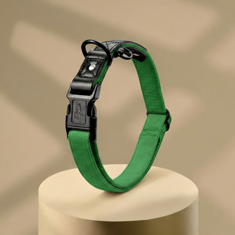 Emerald Green Suede Dog Collar with Black Leather