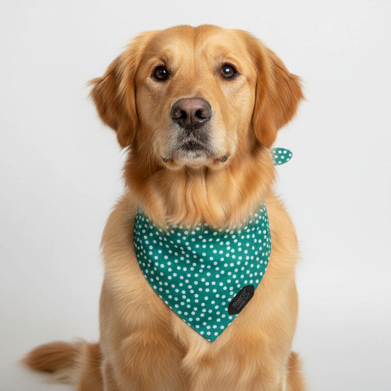 The Green Dot Bandana