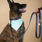 Dark Blue Suede Dog Leash with Black Leather