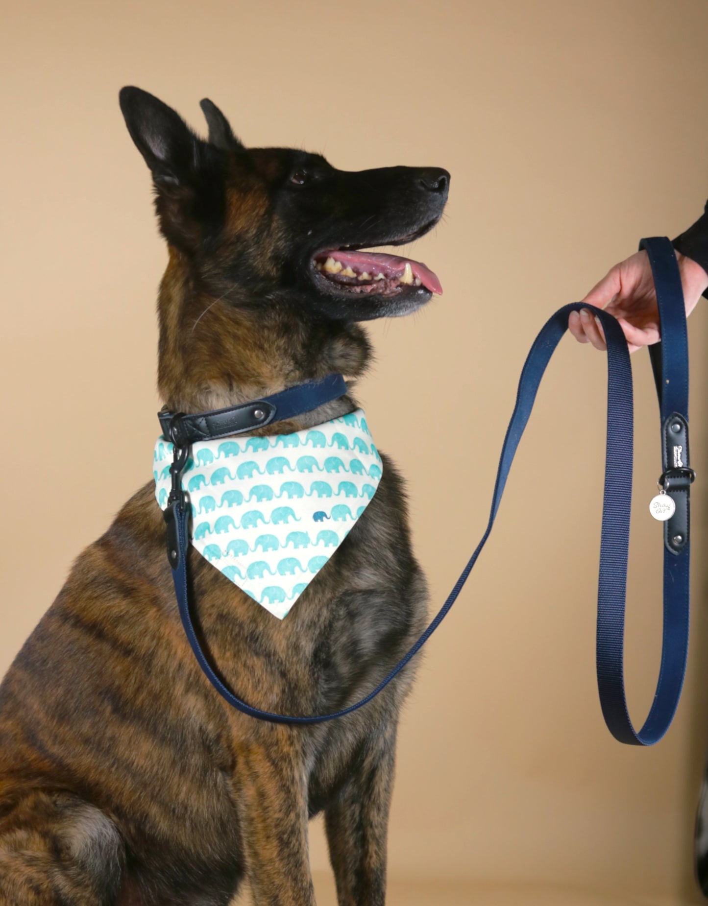 Dark Blue Suede Dog Leash with Black Leather