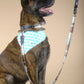Brown Plaid Dog Leash with Black Leather