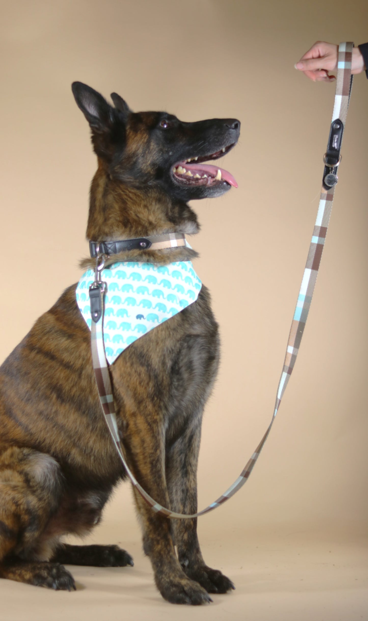 Brown Plaid Dog Leash with Black Leather