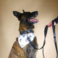 The Central Park Bandana