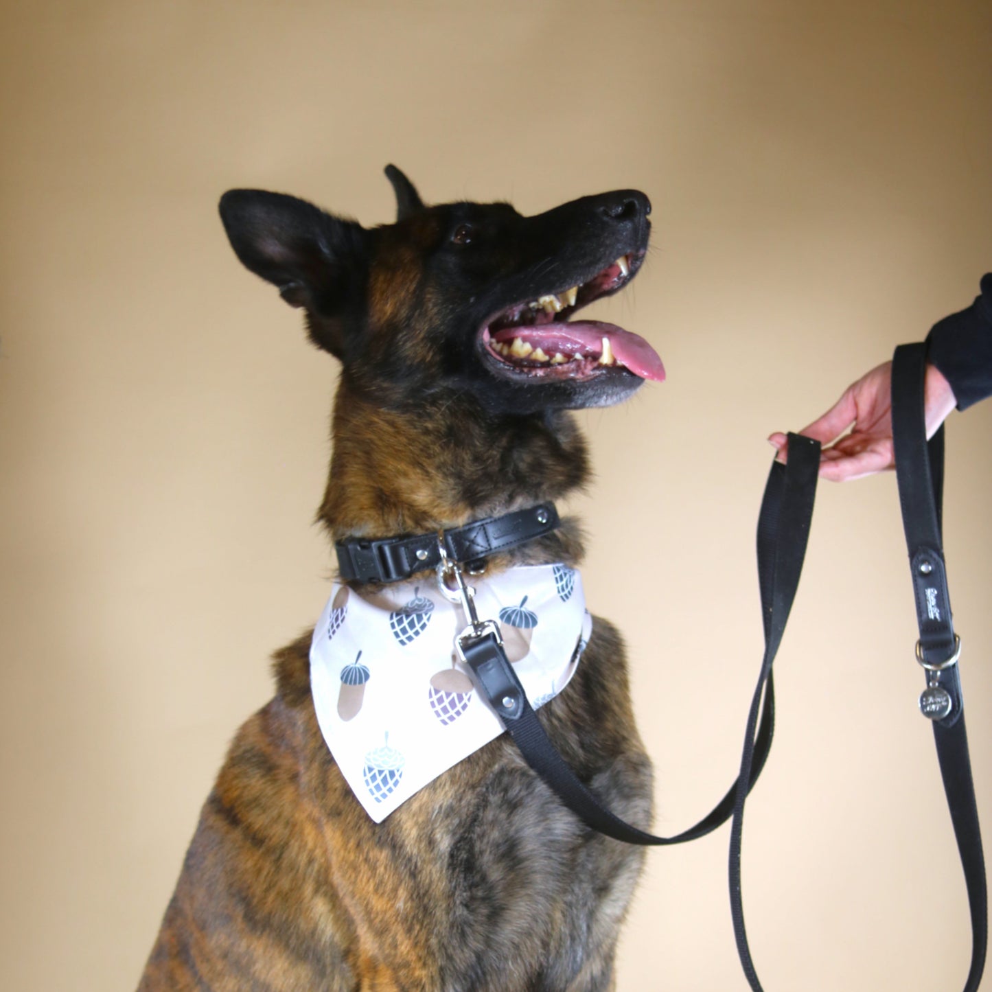 The Central Park Bandana