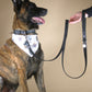 Black Suede Dog Leash with Black Leather