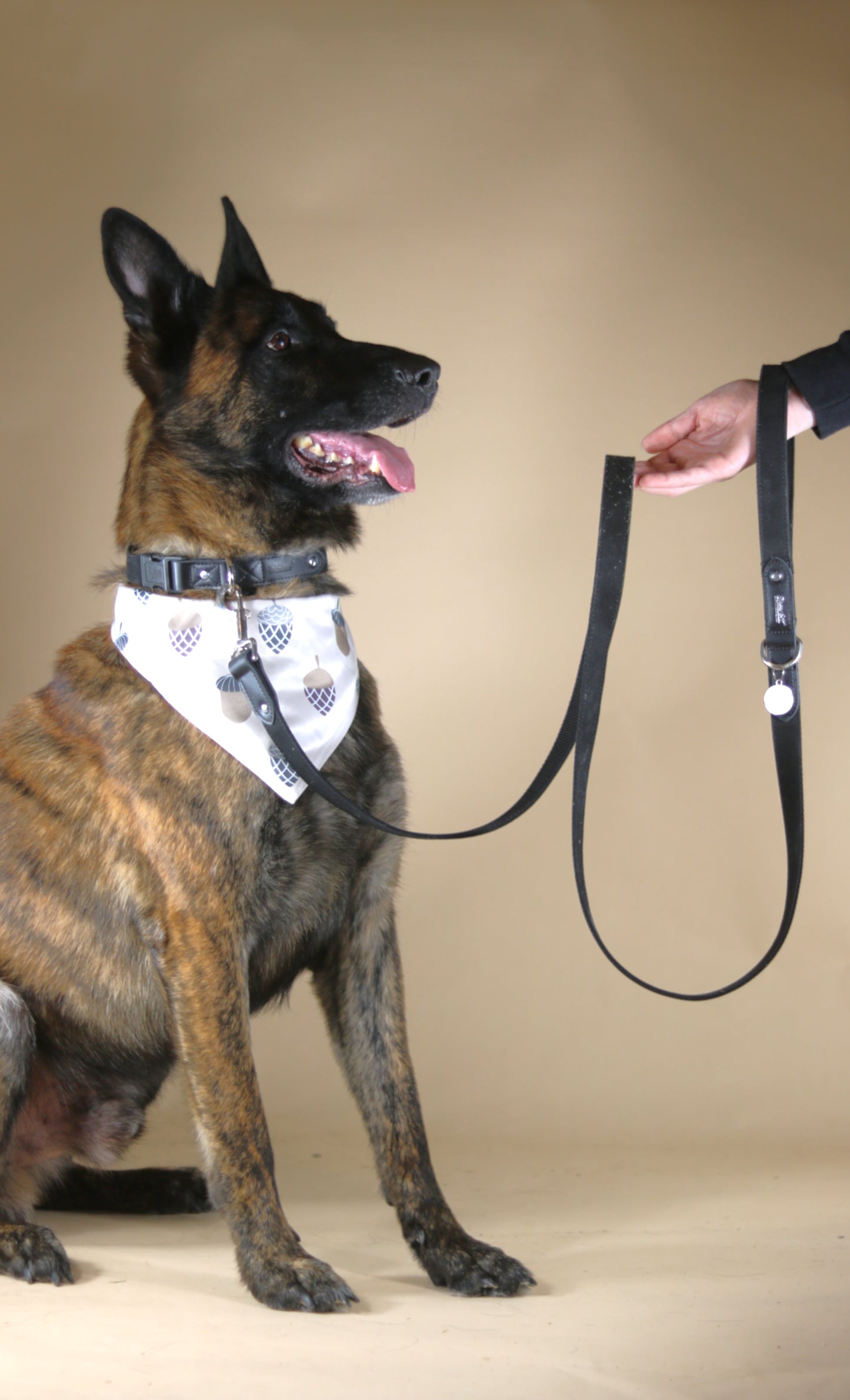Black Suede Dog Leash with Black Leather