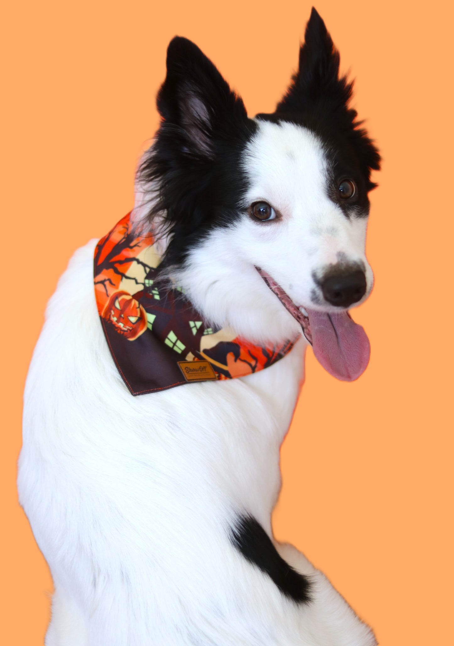 The Haunted House Bandana