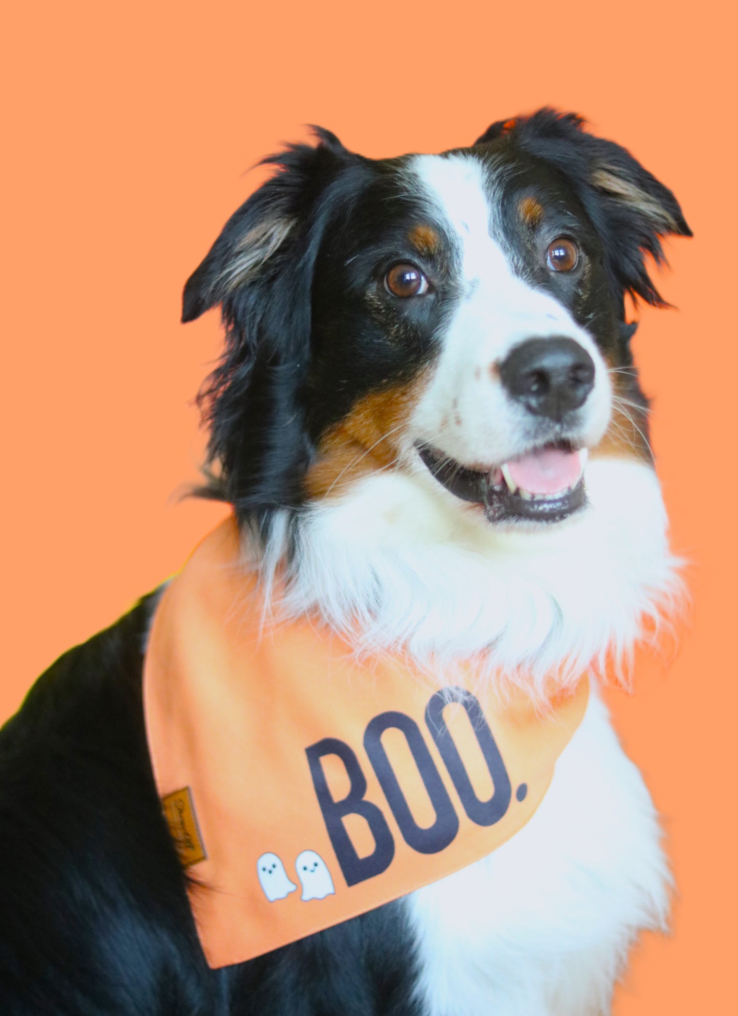 The Boo Bandana