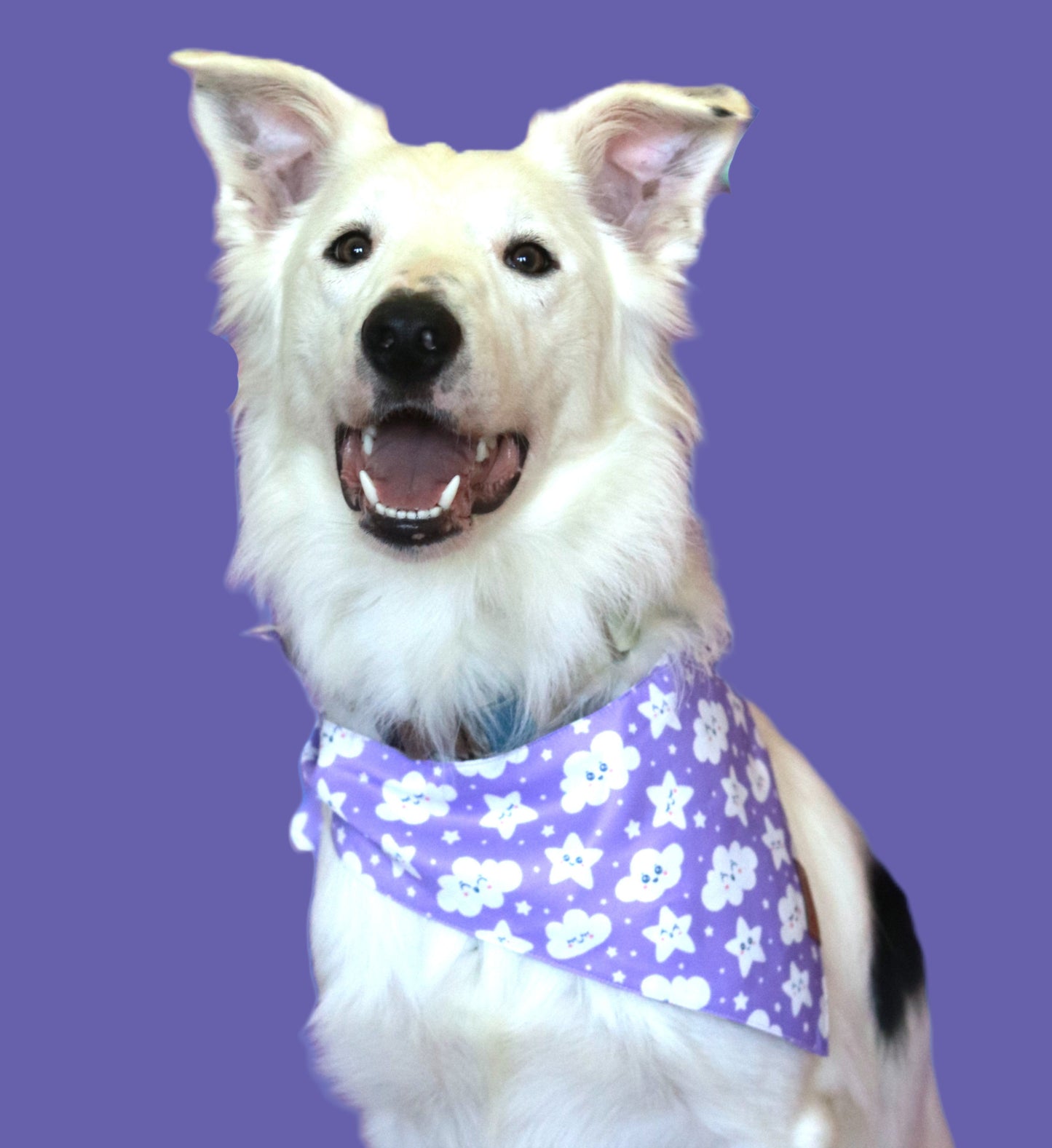 The Dreamy Bandana