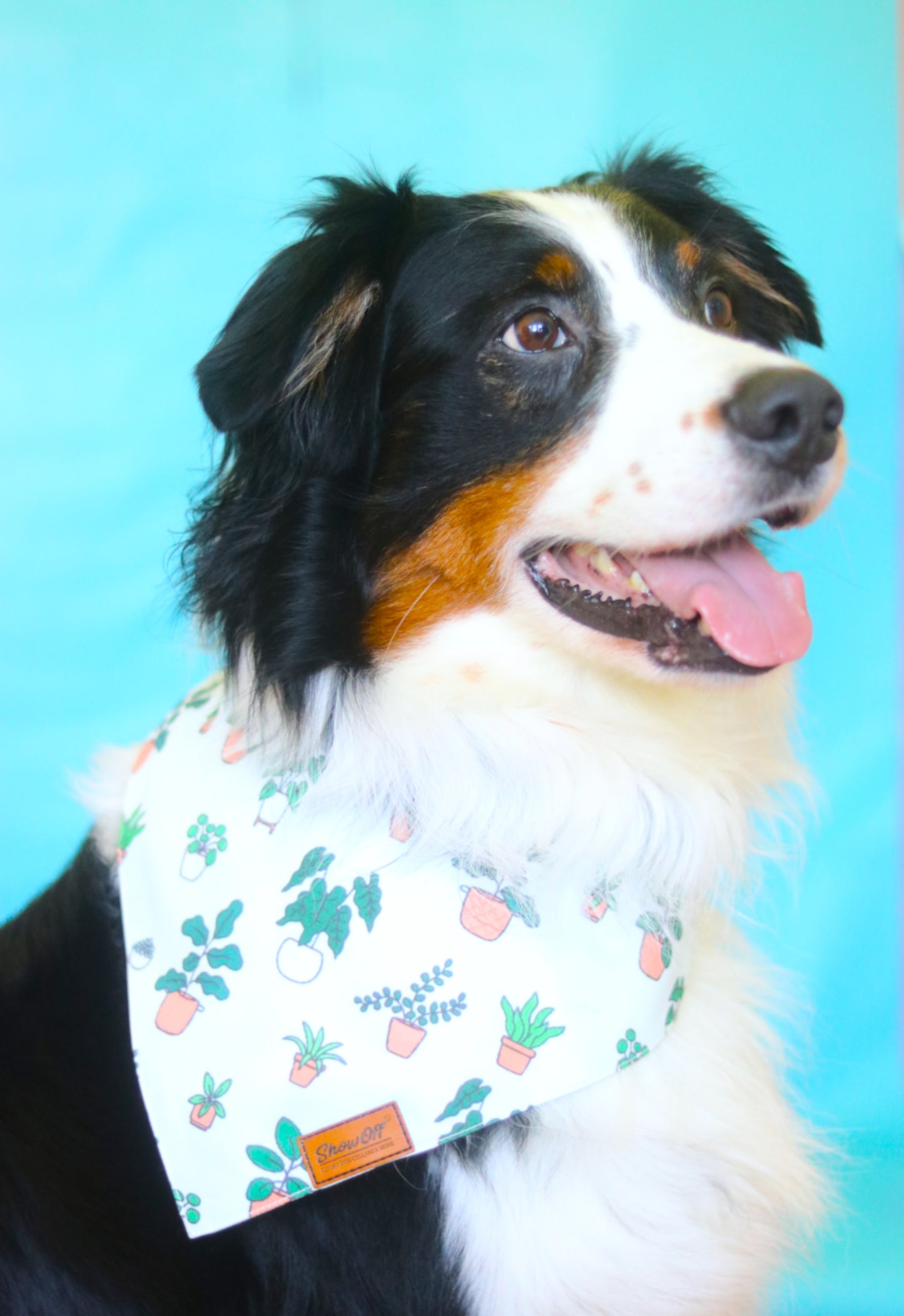 The Aloe Bandana
