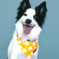 The Daisy Bandana