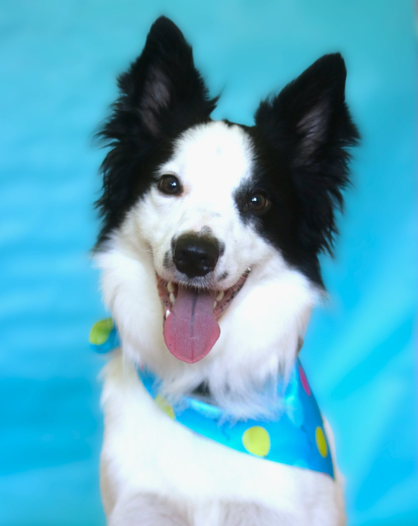The Party Time Bandana