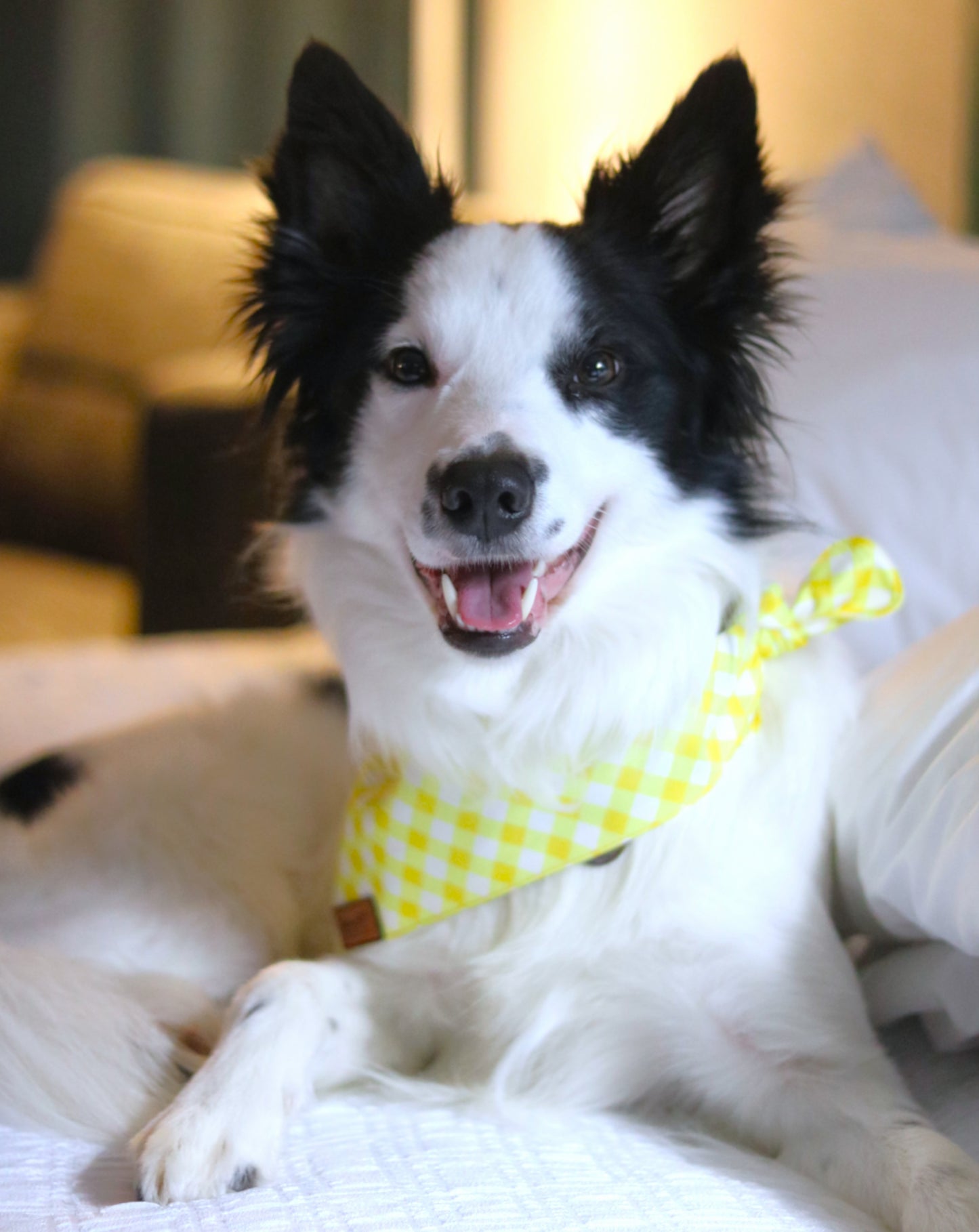 Yellow Gingham Bandana