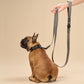 Grey Velvet Dog Leash with Black Leather