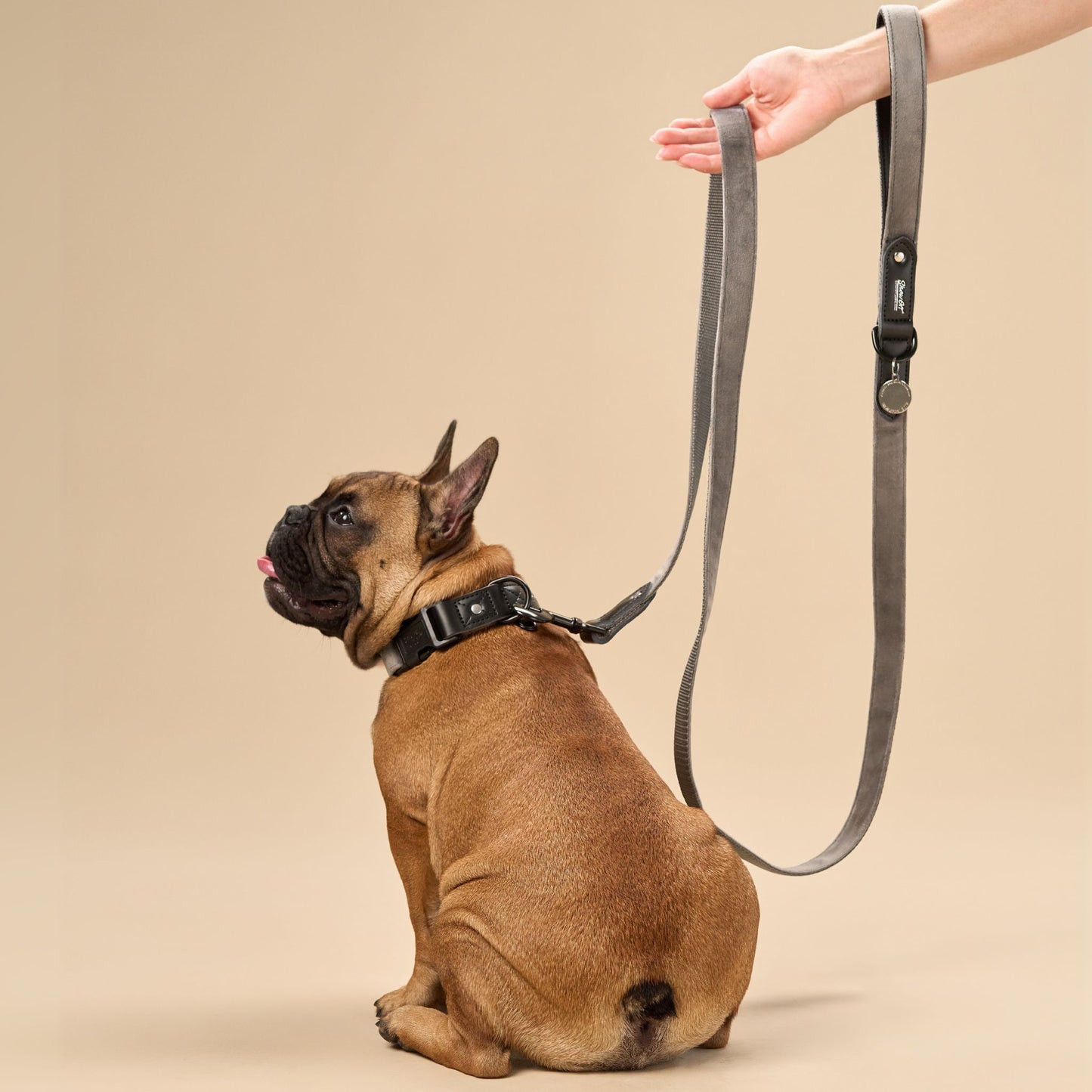 Grey Velvet Dog Leash with Black Leather