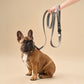 Grey Velvet Dog Leash with Black Leather