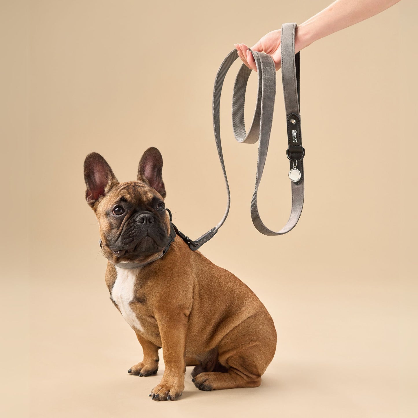 Grey Velvet Dog Leash with Black Leather