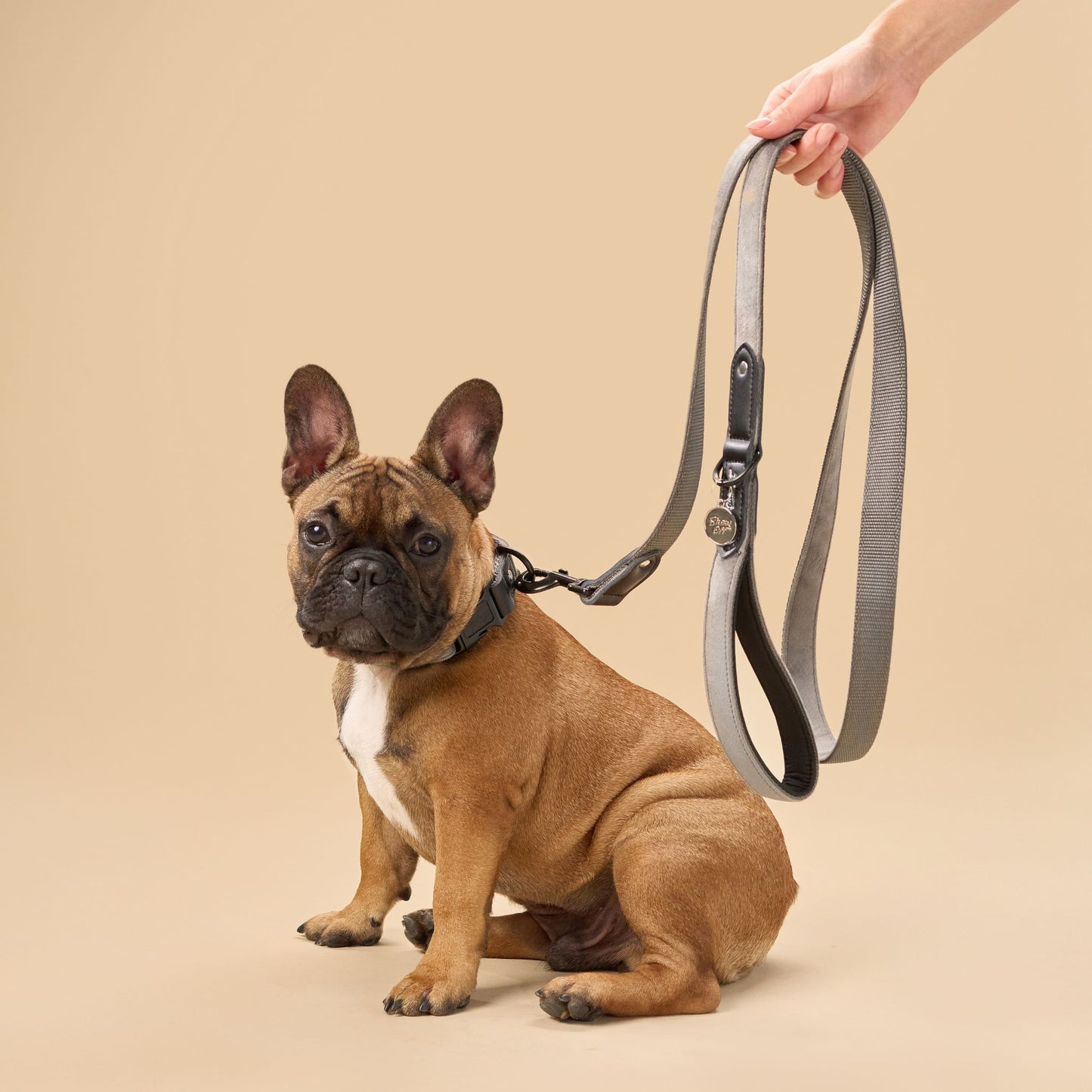 Grey Velvet Dog Leash with Black Leather