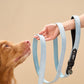 Light Blue Velvet Dog Leash with Black Leather