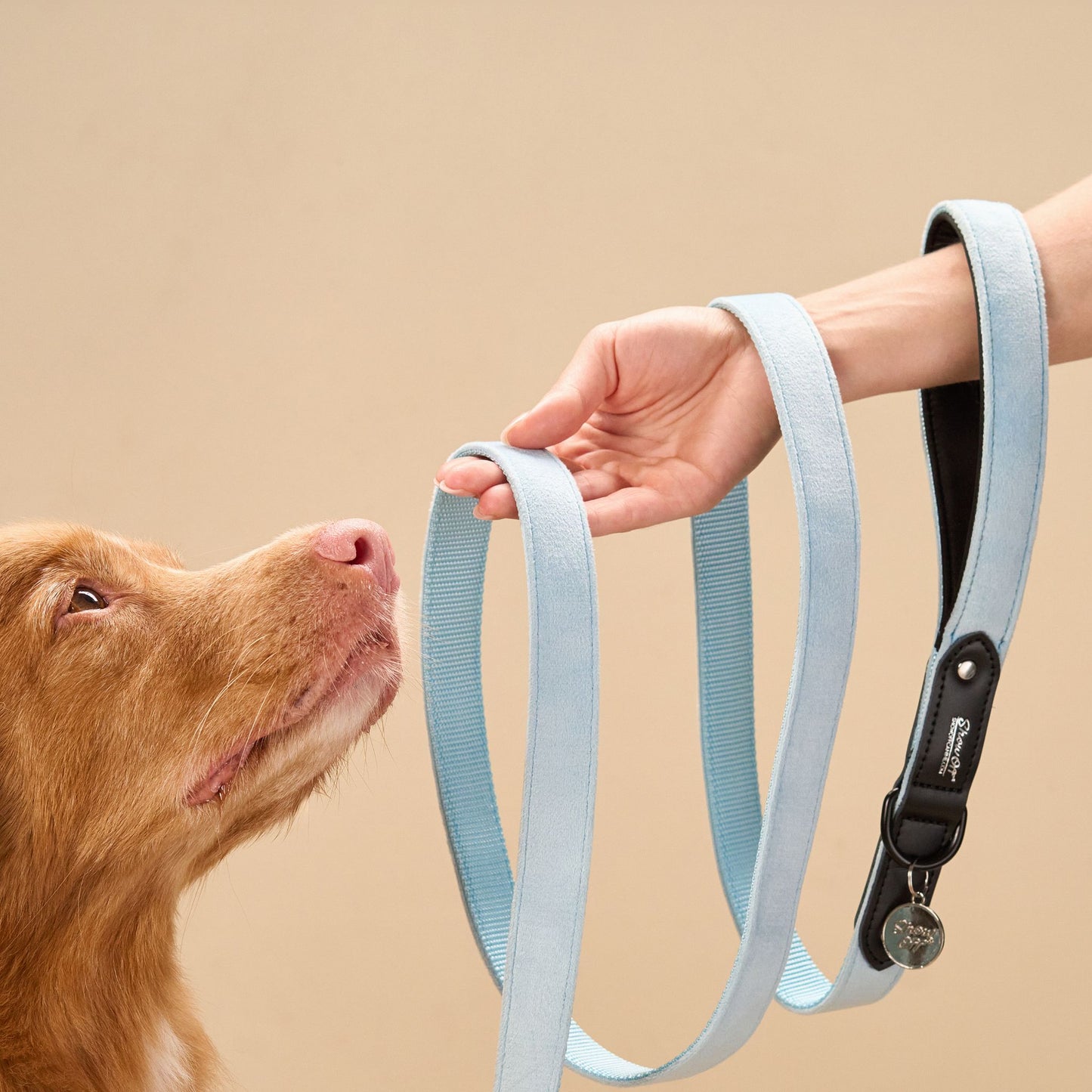 Light Blue Velvet Dog Leash with Black Leather
