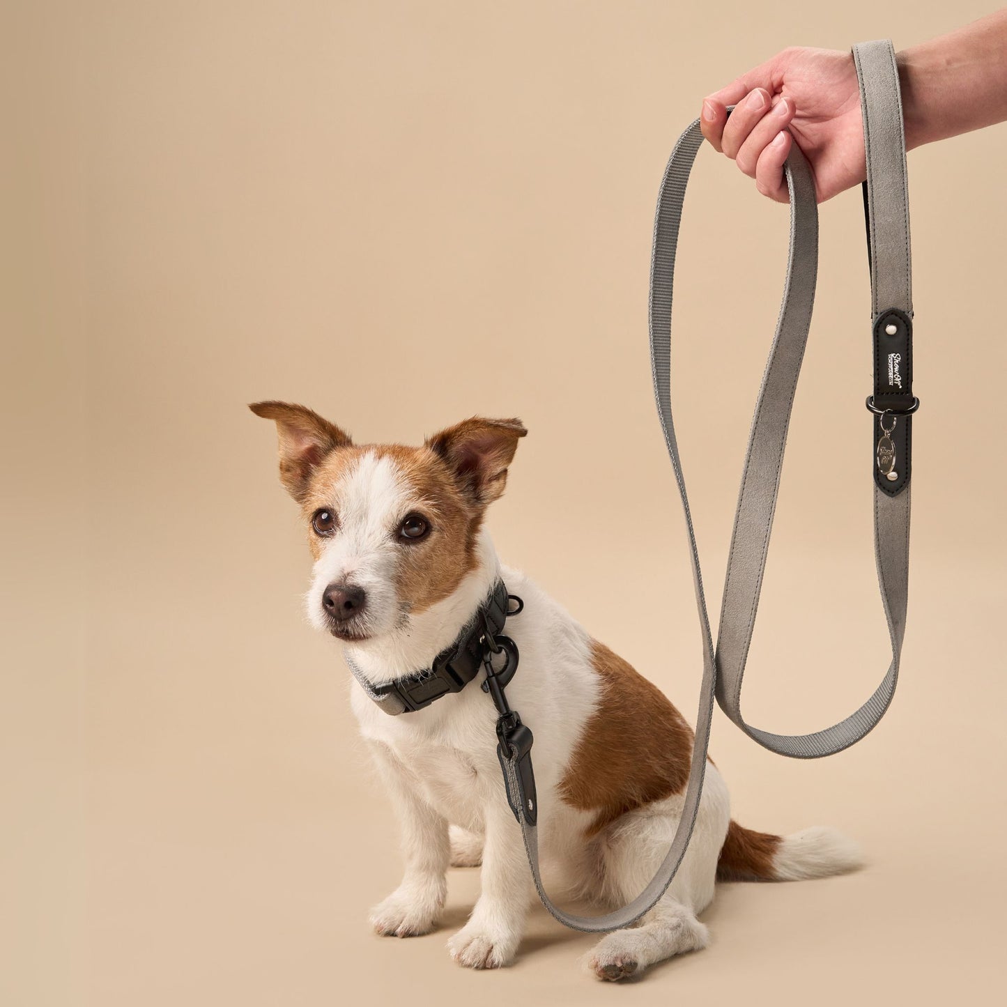 Grey Suede Dog Collar with Black Leather