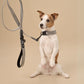 Grey Suede Dog Collar with Black Leather