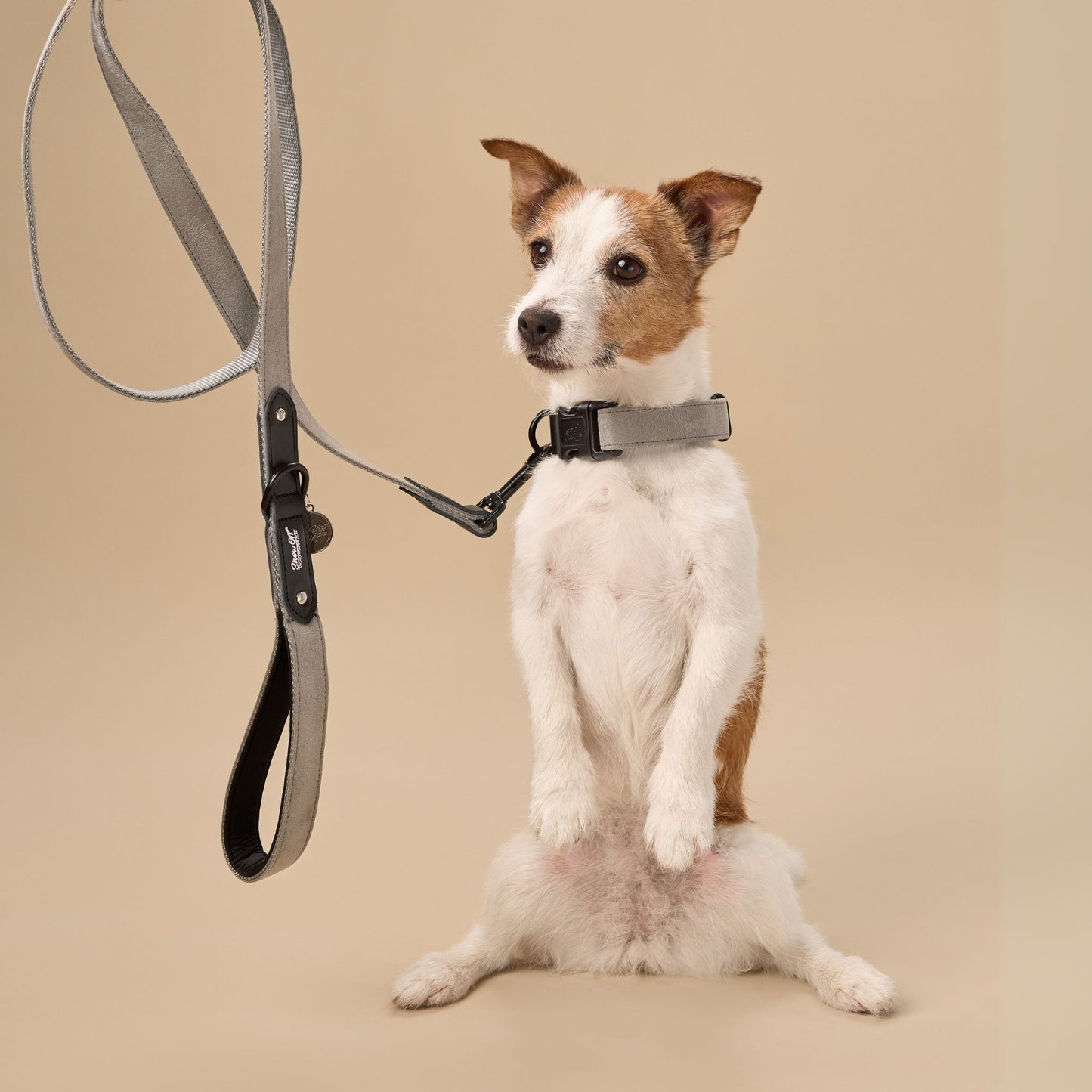Grey Suede Dog Collar with Black Leather