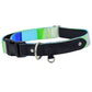 The Aero Dog Collar with Black Leather
