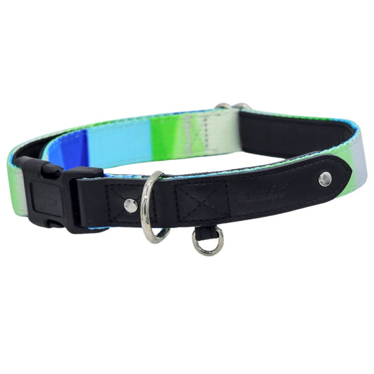 The Aero Dog Collar with Black Leather
