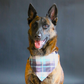 The Brown Plaid Bandana