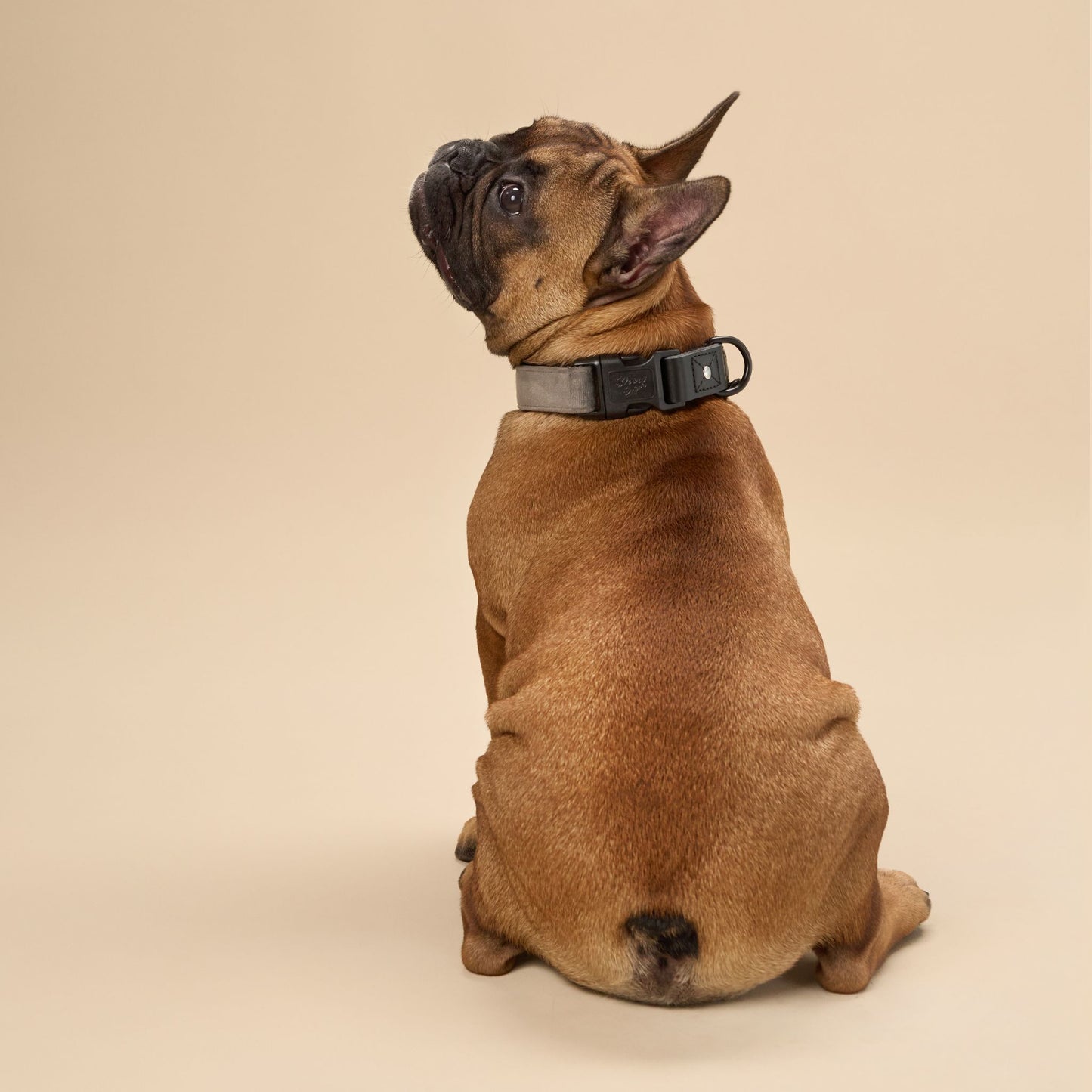 Grey Velvet Dog Collar with Black Leather