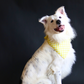 Yellow Gingham Bandana