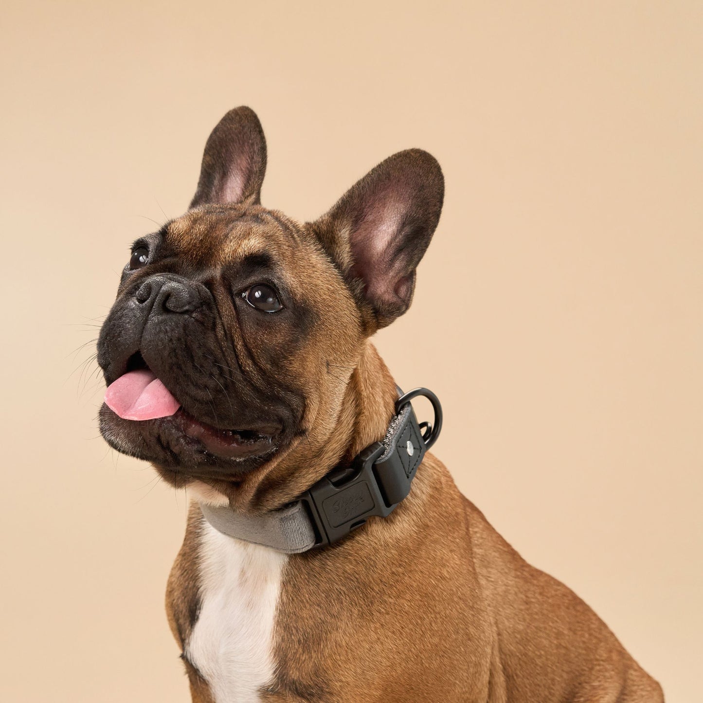 Grey Velvet Dog Collar with Black Leather
