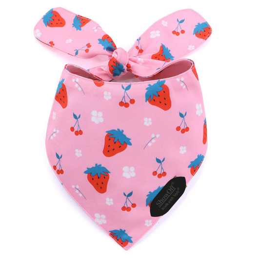 Strawberry Bandana