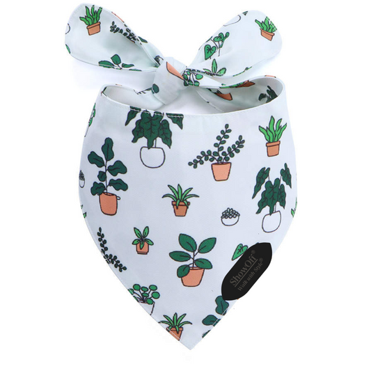 The Aloe Bandana