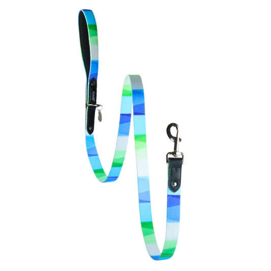 The Aero Dog Leash with Black Leather