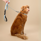 Light Blue Velvet Dog Leash with Black Leather