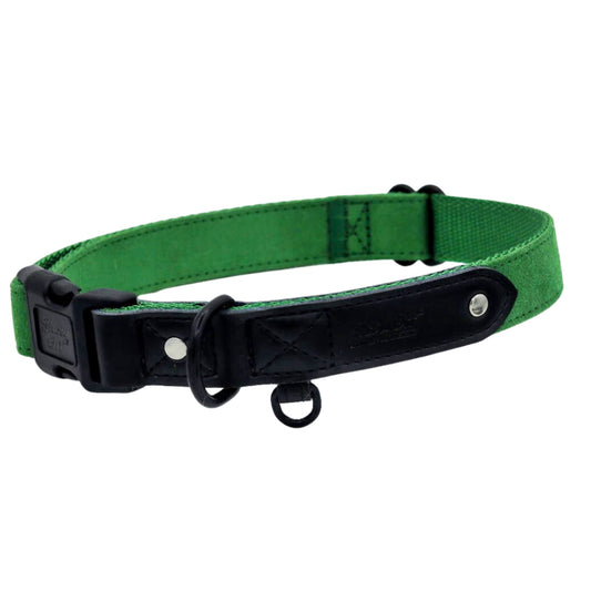 Emerald Green Suede Dog Collar with Black Leather