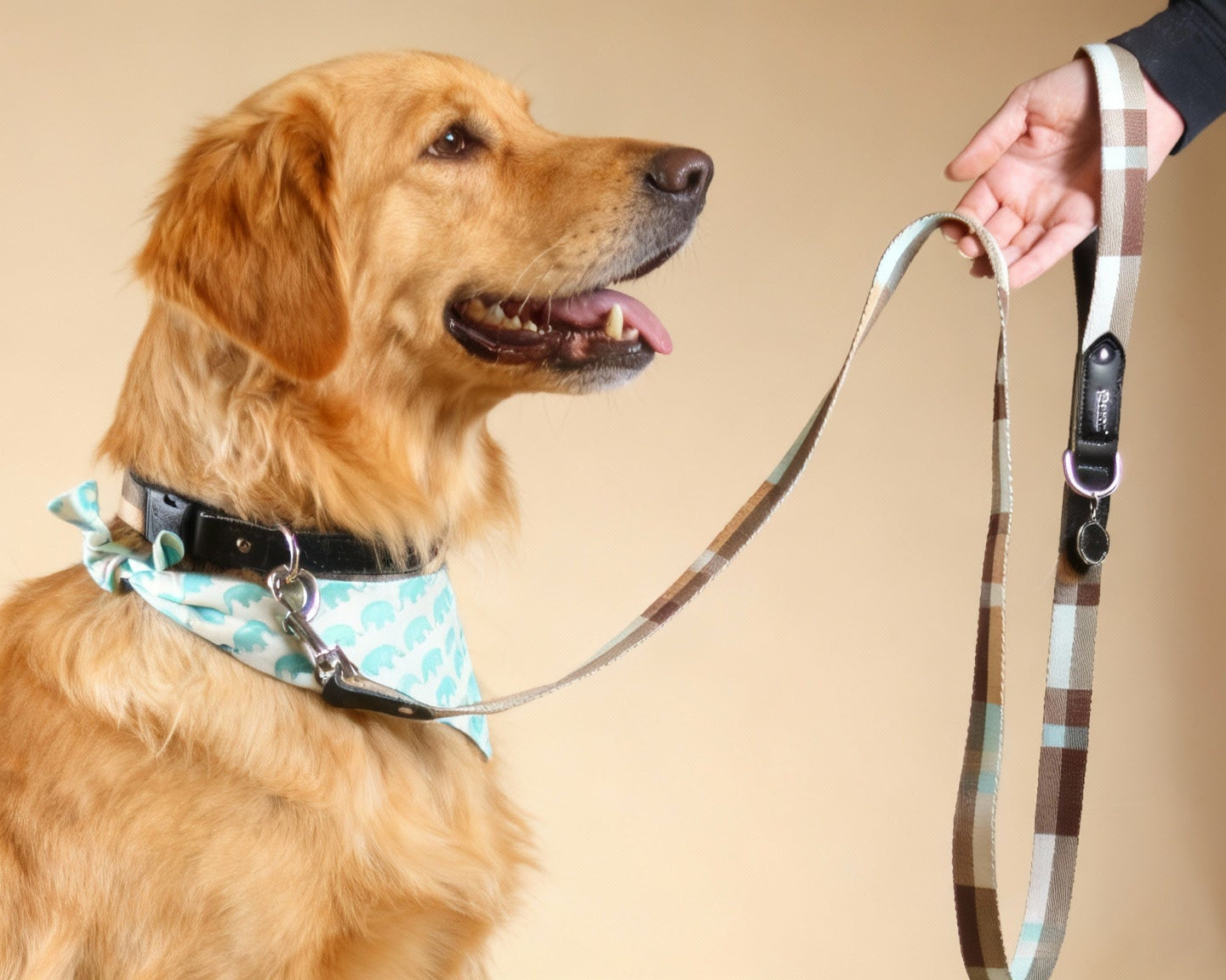 Brown Plaid Dog Collar with Black Leather