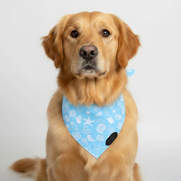 The Seashell Bandana